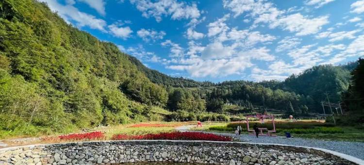 临溪山居民宿图片