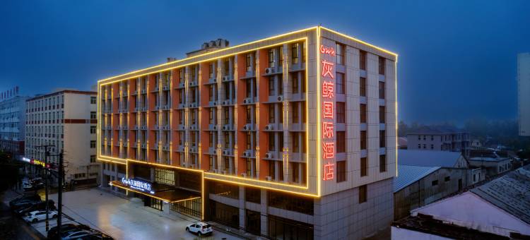 灰鲸国际酒店(龙泉店)图片