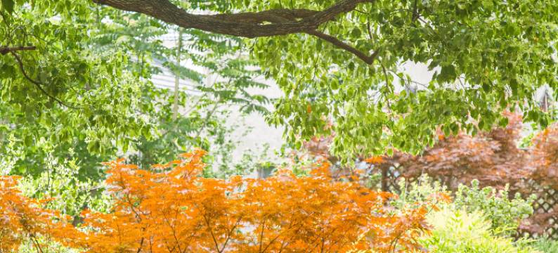 溧阳戴埠绿乡民宿图片