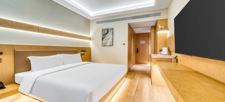 上海陆家嘴艾力万达悦华酒店图片