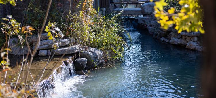 清照泉城古城酒店(明水古城店)图片