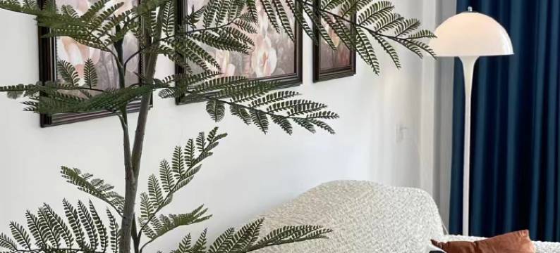 左庭右院民宿图片