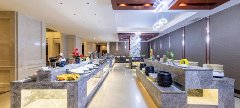 拉萨岷山天瑞大酒店图片