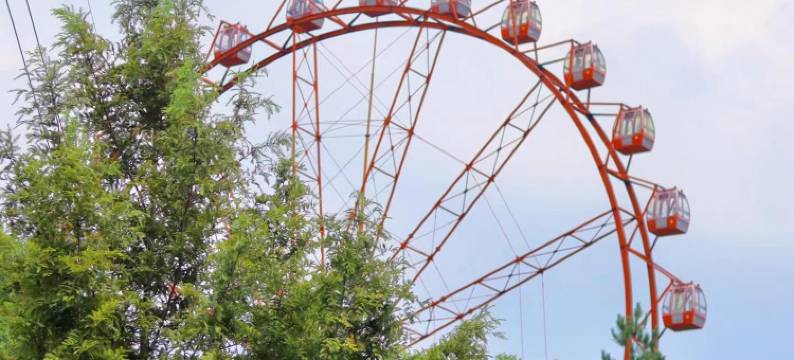 星林晚居·庭院山野星空休闲度假美宿(中南百草原自然博物馆店)图片