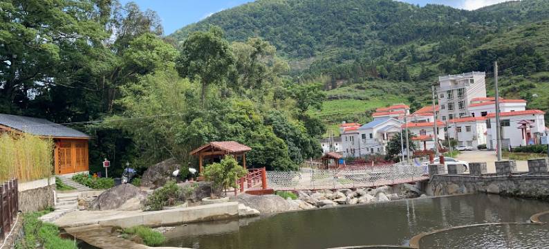 陆河两山森林康养民宿(万东店)图片