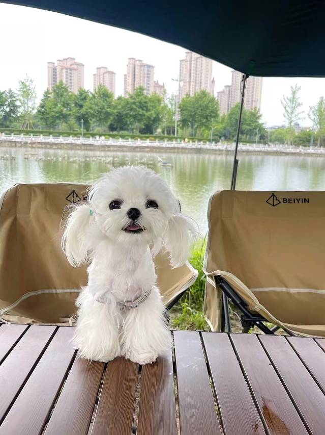 景泰酒店(景德镇陶阳里景区人民广场店)图片