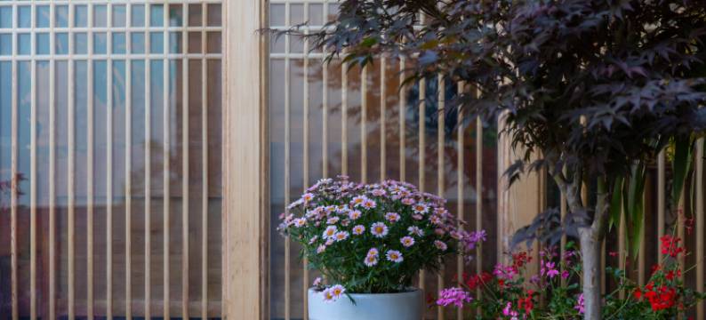 山茶半岛美宿(丽江束河古镇店)图片