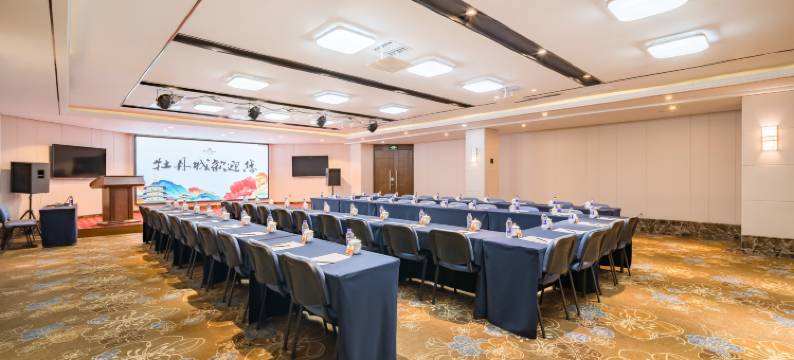 洛阳牡丹城宾馆(牡丹广场地铁站万达店)图片