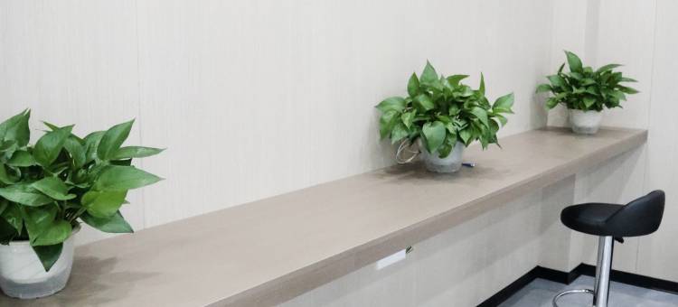 自贡同欣大酒店图片