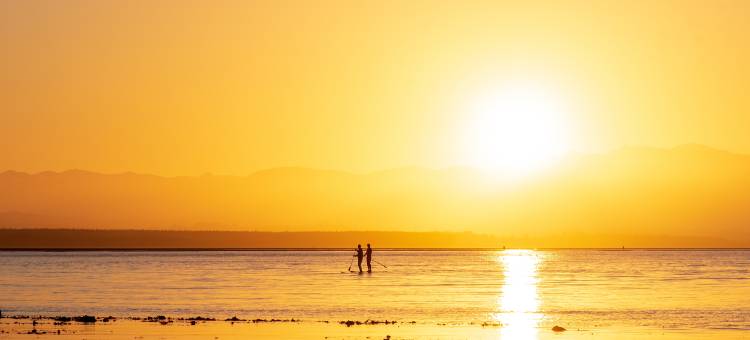 塔胡纳海滩度假公园(Tahuna Beach Holiday Park)图片