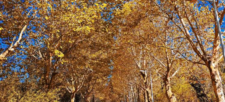 维也纳酒店(贵阳观山湖奥体中心店)图片