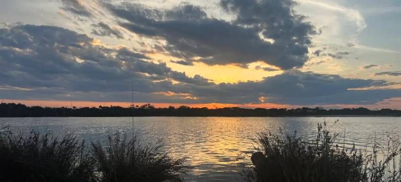 罗塞尼斯半岛度假村(Roseneath Holiday Park)图片