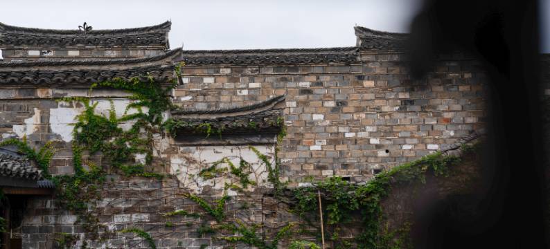 泾溪水镇梦乡村民宿图片