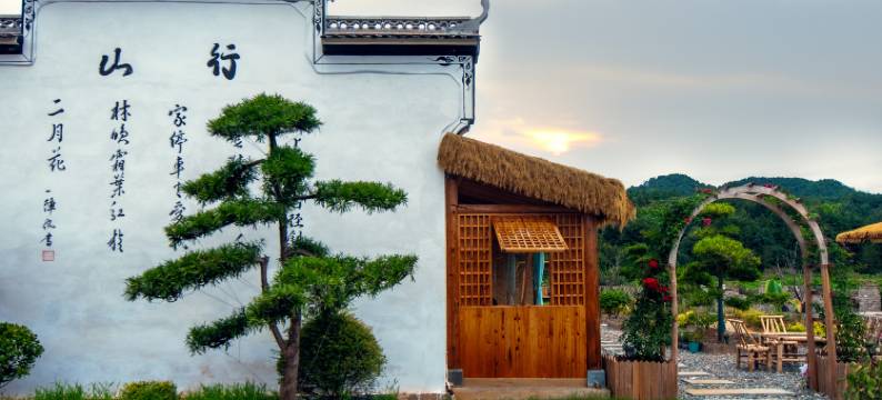 婺源茶园小院图片