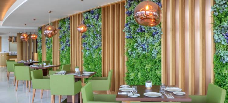 希尔顿迪拜河酒店及住宅(Hilton Dubai Creek Hotel & Residences)图片