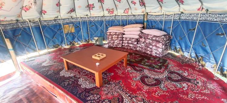 赛里木湖蓝天民宿图片