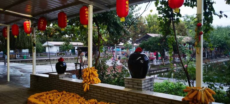 中都渔村民宿图片