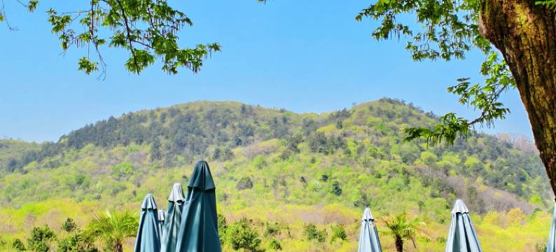 南京岳群青·泰式风情汤泉度假民宿图片