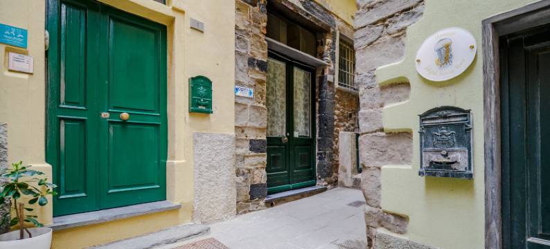 Petrella's Point 开间 w/ 空调(Petrella's Point Studio with AC)图片