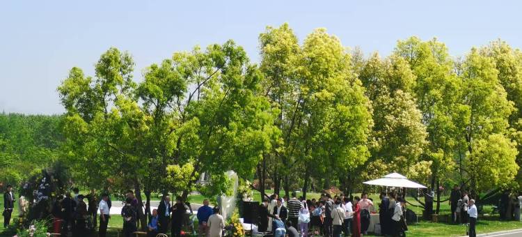 半山四季温泉酒店(洛阳龙门高铁站店)图片