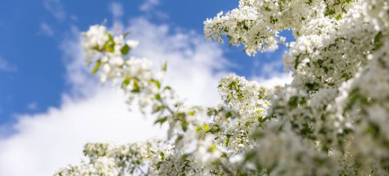 香格里拉青雨·见山归璞庄园(纳帕海景区店)图片