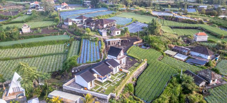 位于金塔玛尼的2卧室独栋房屋-100平方米|带1个独立浴室(Mastaka Villa Kintamani)图片