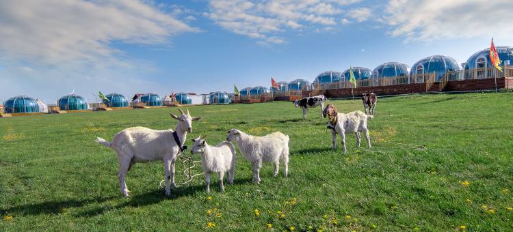 辉腾锡勒牧马人北疆文化度假酒店图片