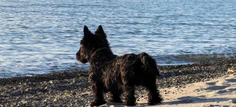 巴塔尔度假农庄·悦享闲庭|星空露营(福海店)图片