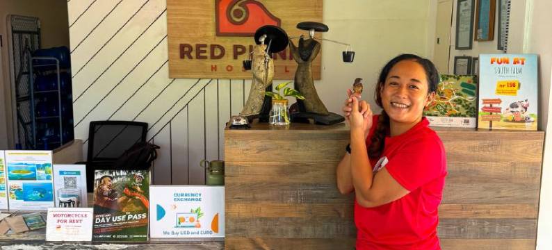 红色野餐青年旅馆(Red Picnic Hostel Panglao)图片