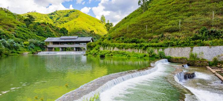 李花谷·水上居酒店图片
