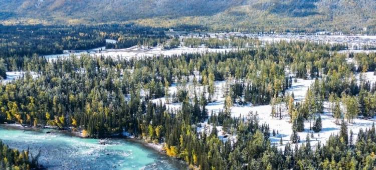 大菠萝山野派对｜中古法式雪山观景度假民宿(喀纳斯景区店)图片
