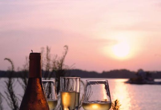 Hills Hotel Overview