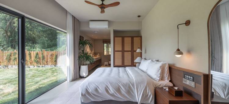 自在小院柿子图片