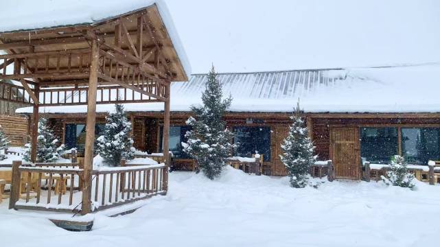 喀纳斯一棵花楸精品民宿