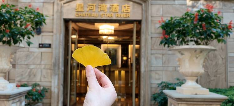 北京星河湾酒店图片