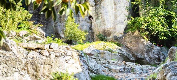 河池见山庭院民宿(职业教育中心学校店)图片