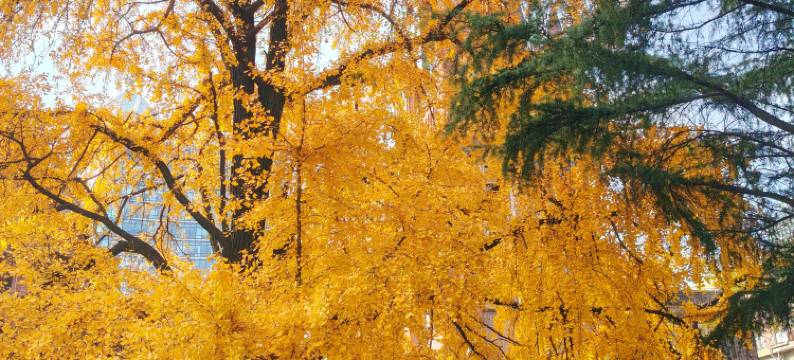 全季酒店(上海外滩九江路店)图片