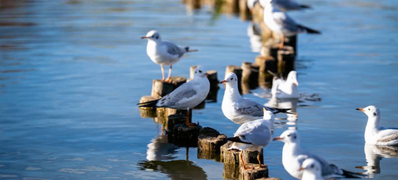 昆明江野度假酒店(滇池大观公园店)图片