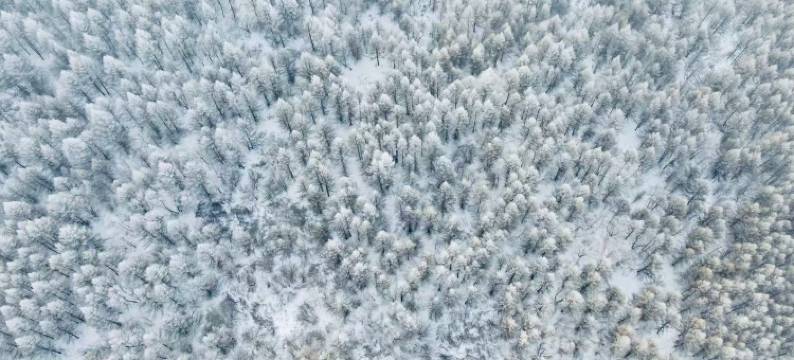 张家口崇礼曼松林民宿图片