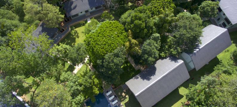 塞伦迪布招牌度假村(Serendib Signature Resort)图片