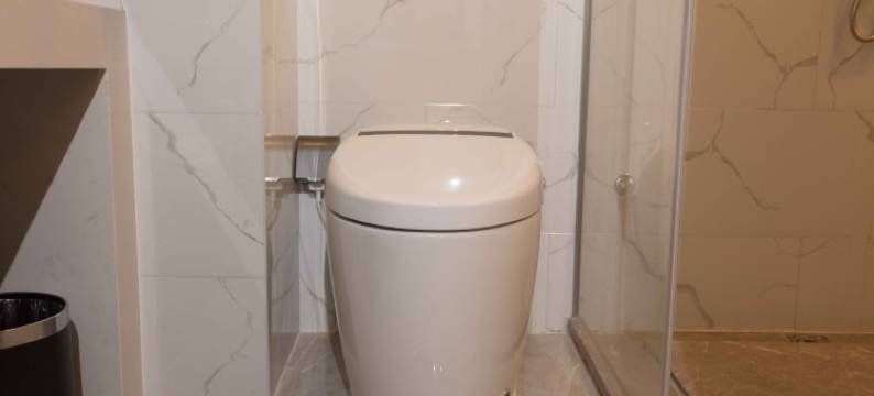 白玉兰酒店(琅琊古城店)图片