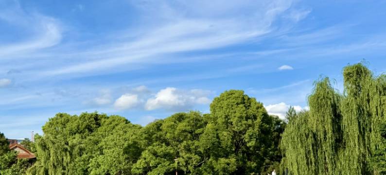 亿嘉林航酒店(昆明老街翠湖公园店)图片