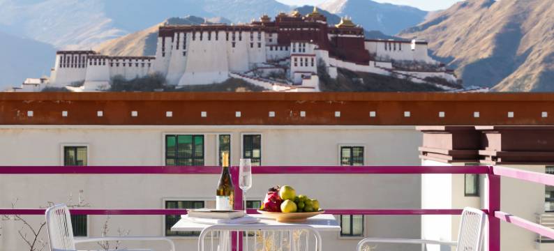 拉萨岩庐·理想国民宿(布达拉宫店)图片