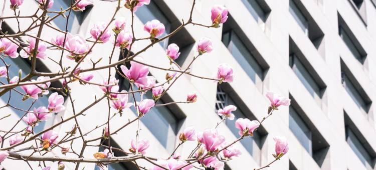 黄山昱城皇冠假日酒店图片