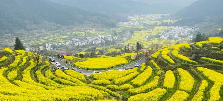 婺源铃岚居·叠云观景美宿(篁岭风景区梯田花海店)图片