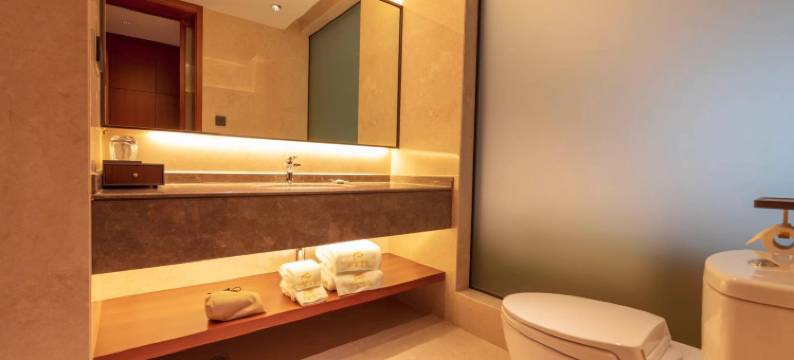 遵义天安大酒店(苏州路国贸购物中心店)图片