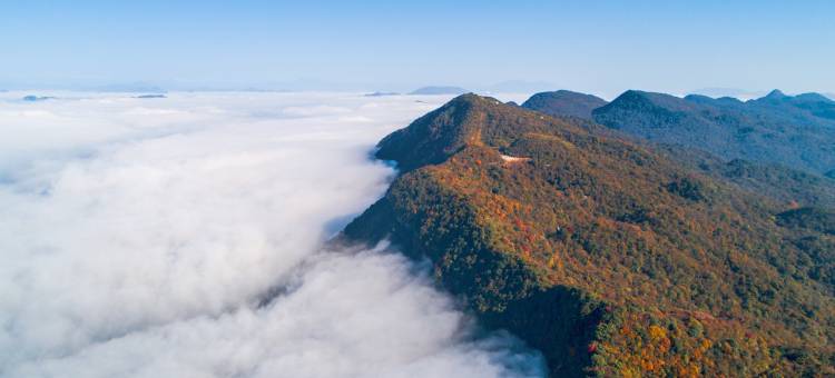 羌山石居图片