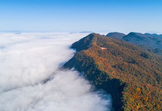 Qiangshan ShijuHotel Overview