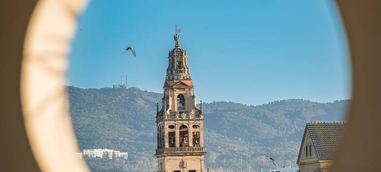 科尔多瓦霍斯波利亚酒店(Hesperia Córdoba)图片