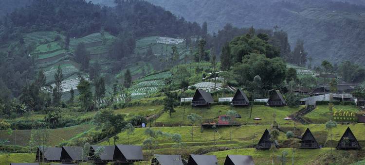 克马默拉布(KEMA Merbabu powered by Cocotel)图片